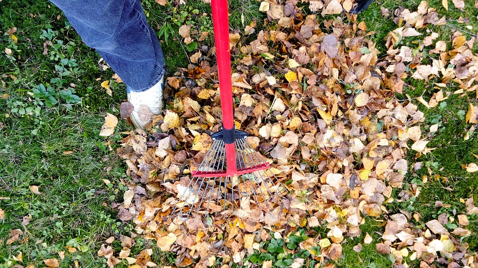 Fall landscaping checklist