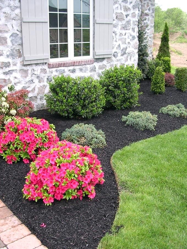 Cheap Landscaping Ideas with Mulch 