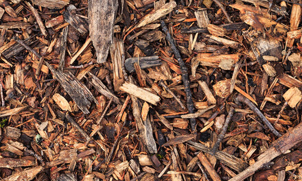 Soil, Bark & Mulch